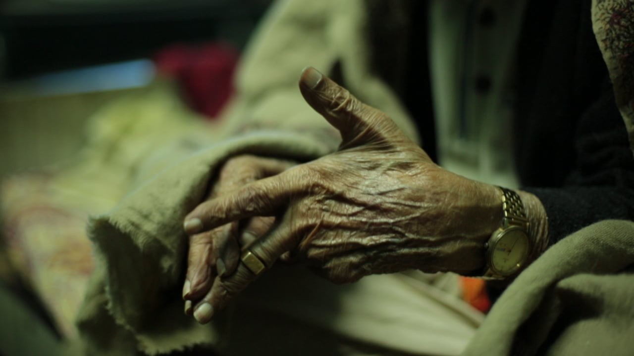 A Very Old Man with Enormous Wings