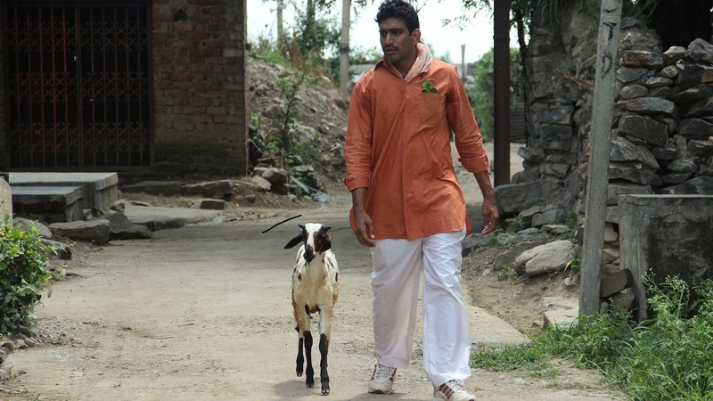 Idak: The Goat