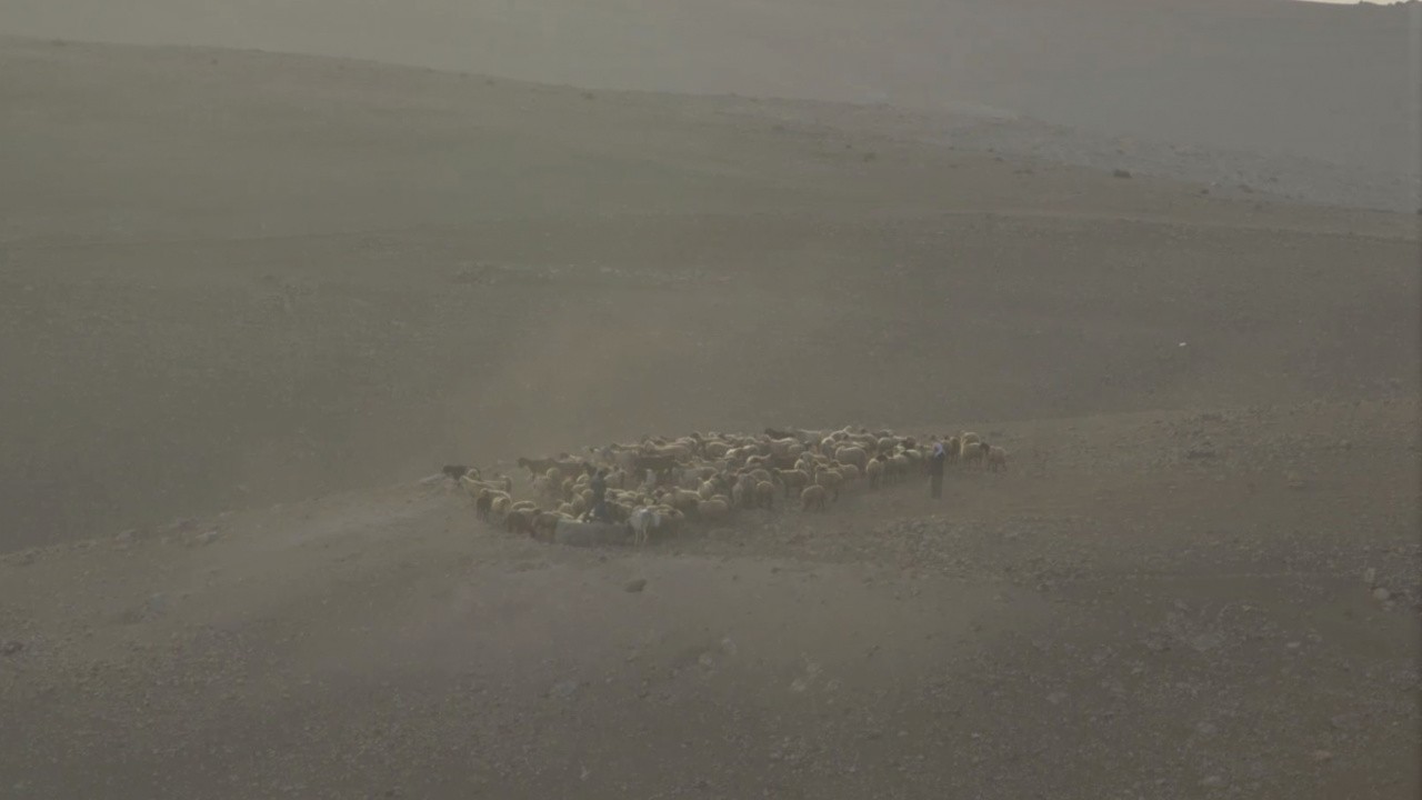In the Desert - A Documentary Diptych: Avidan's Dream