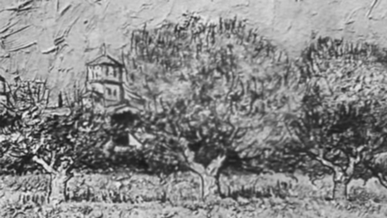 Image du film Van Gogh