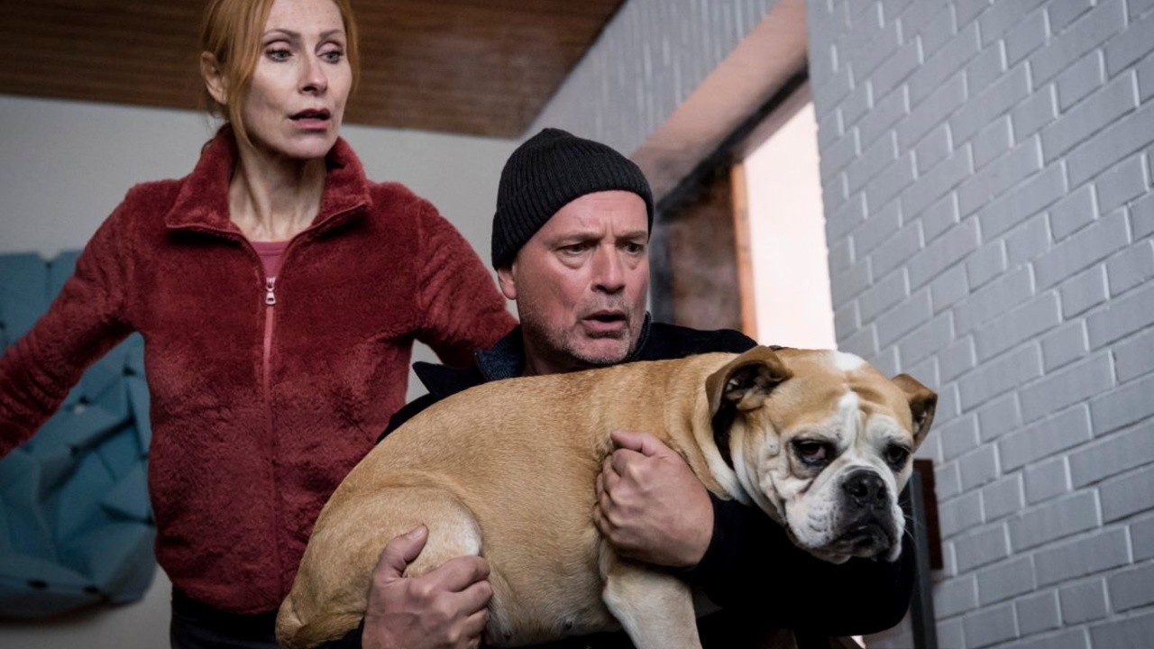 Divorce for Beginners