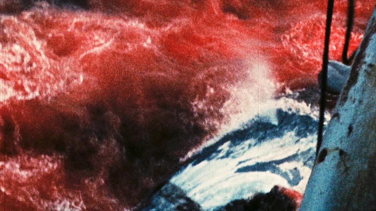 Image du film Vive la baleine