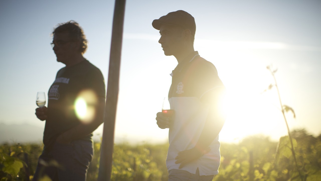 Image du film Wine Calling