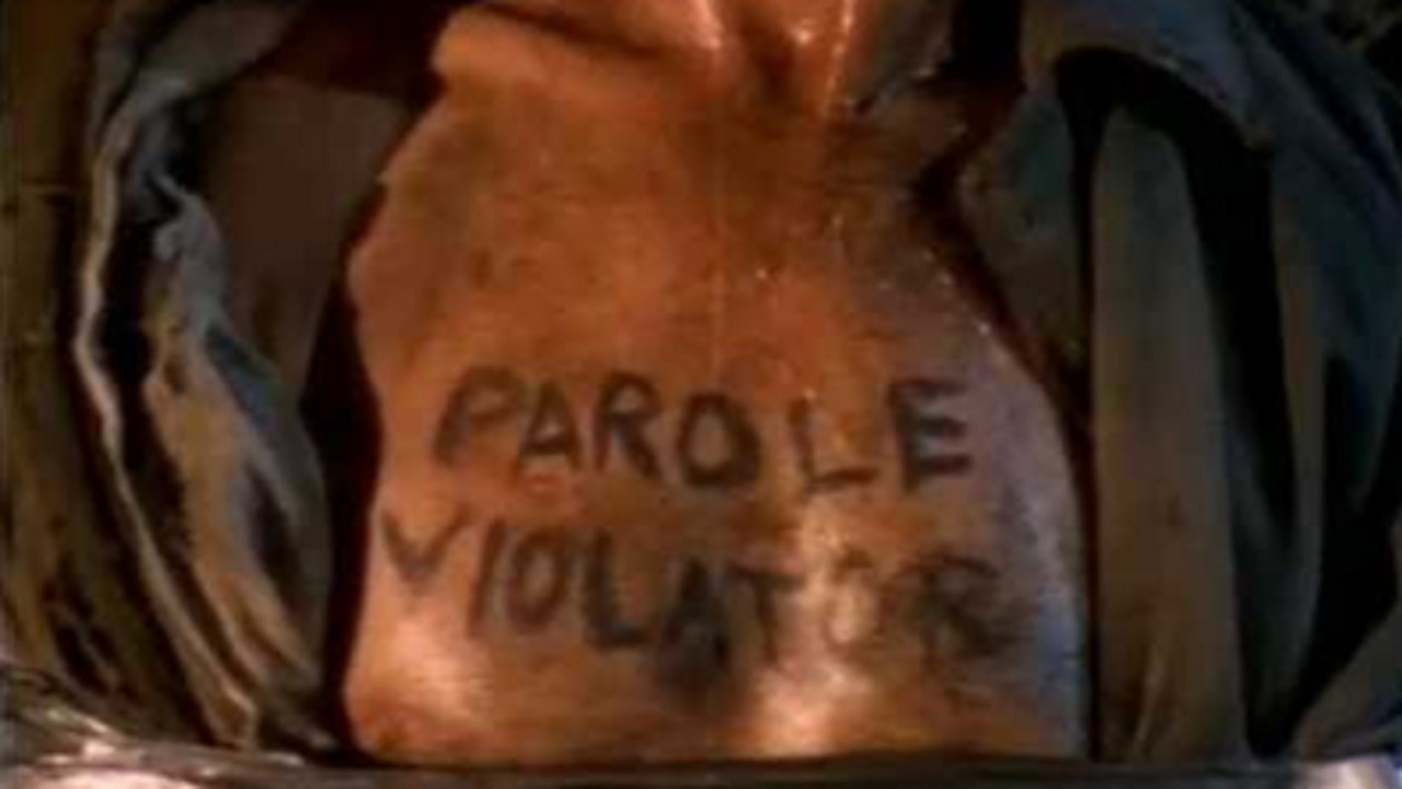 Parole Violators