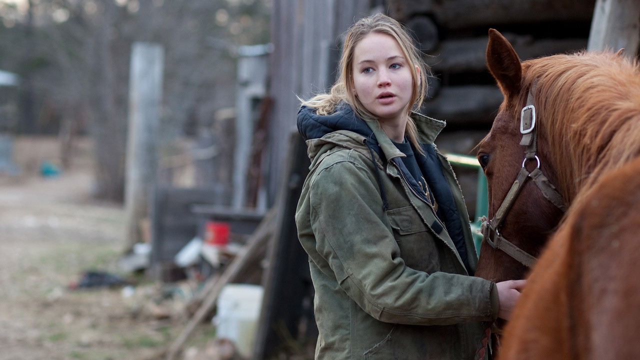 Image du film Winter's Bone