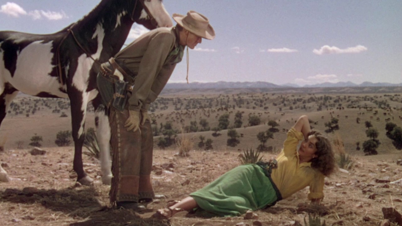 Image du film Duel au soleil