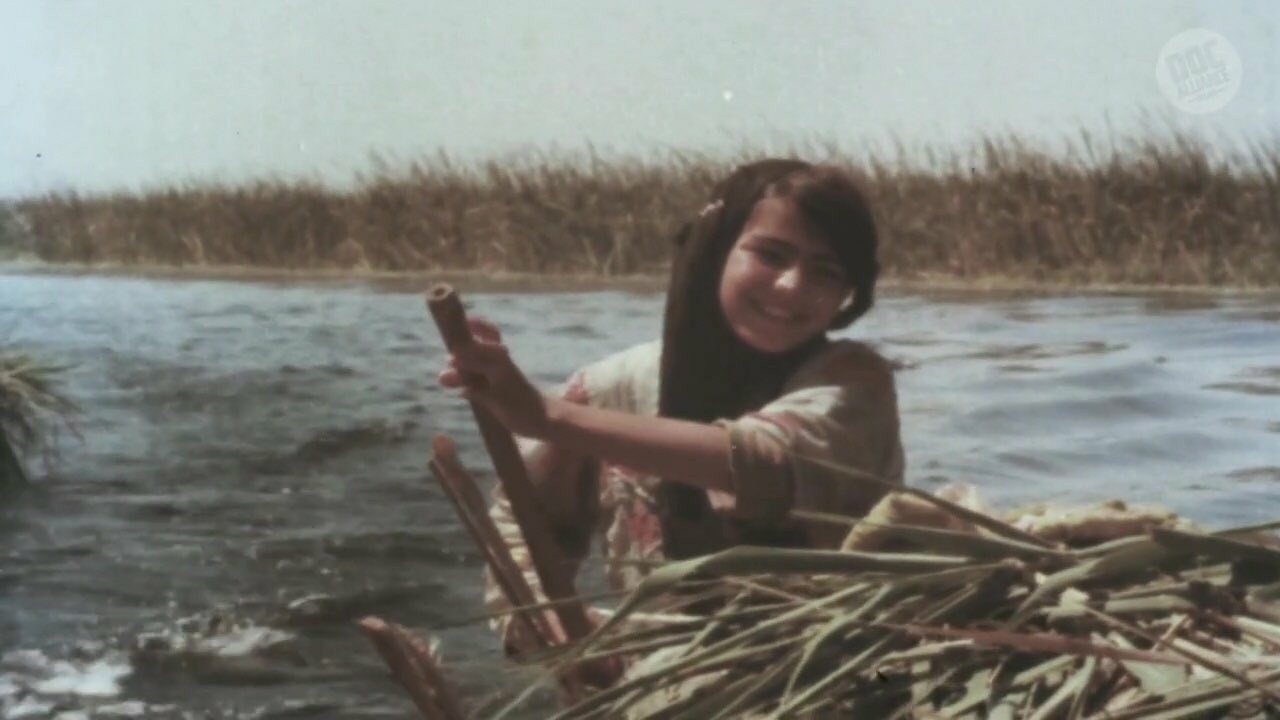 The Marshes