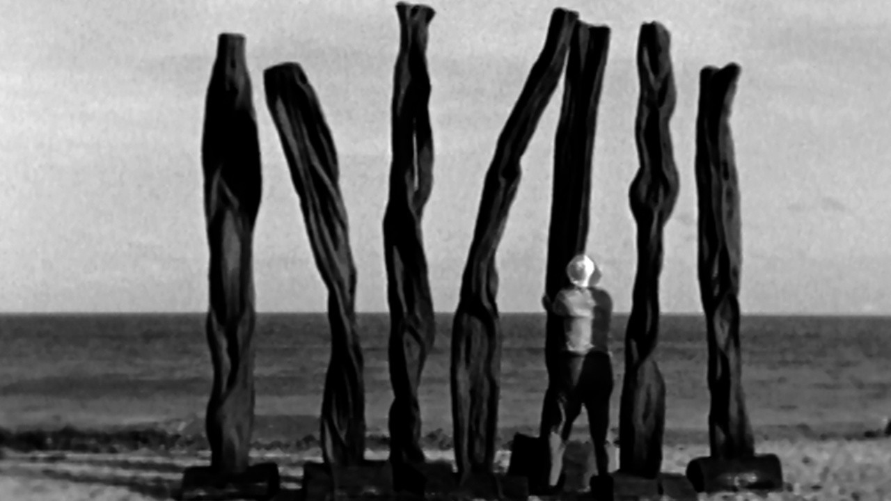Frans Krajcberg: Manifesto
