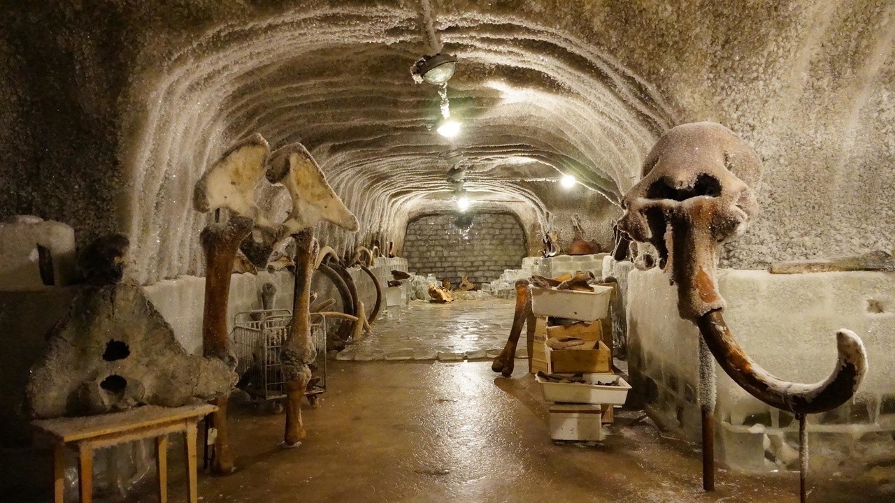 Altamira, el Origen del Arte