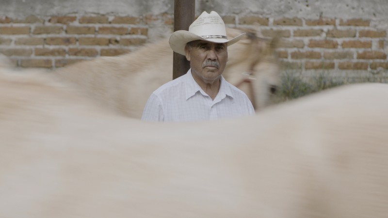 Caballerango