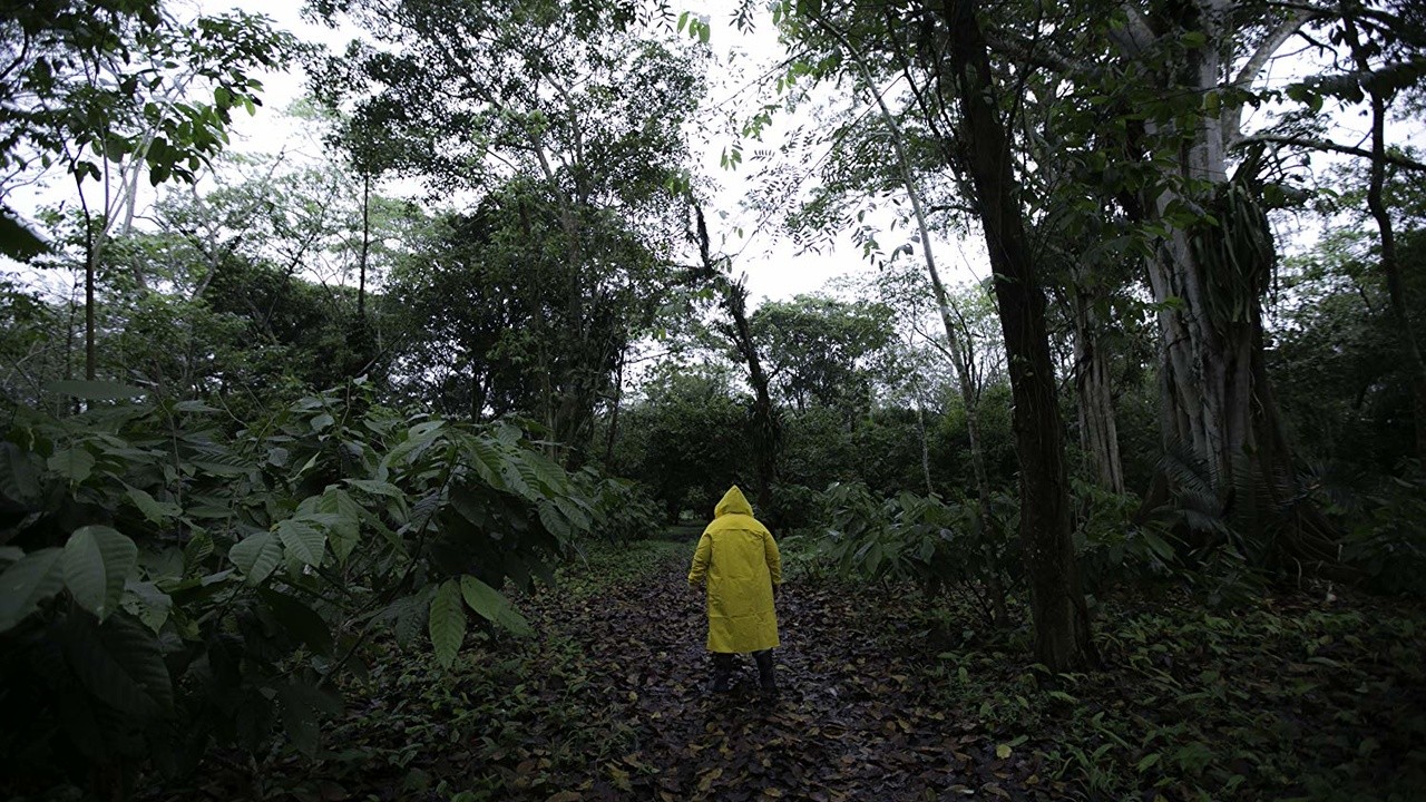 Away From Meaning 2018 MUBI