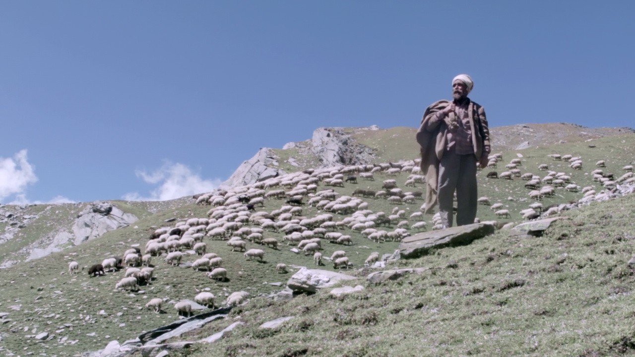The Gold-Laden Sheep & the Sacred Mountain