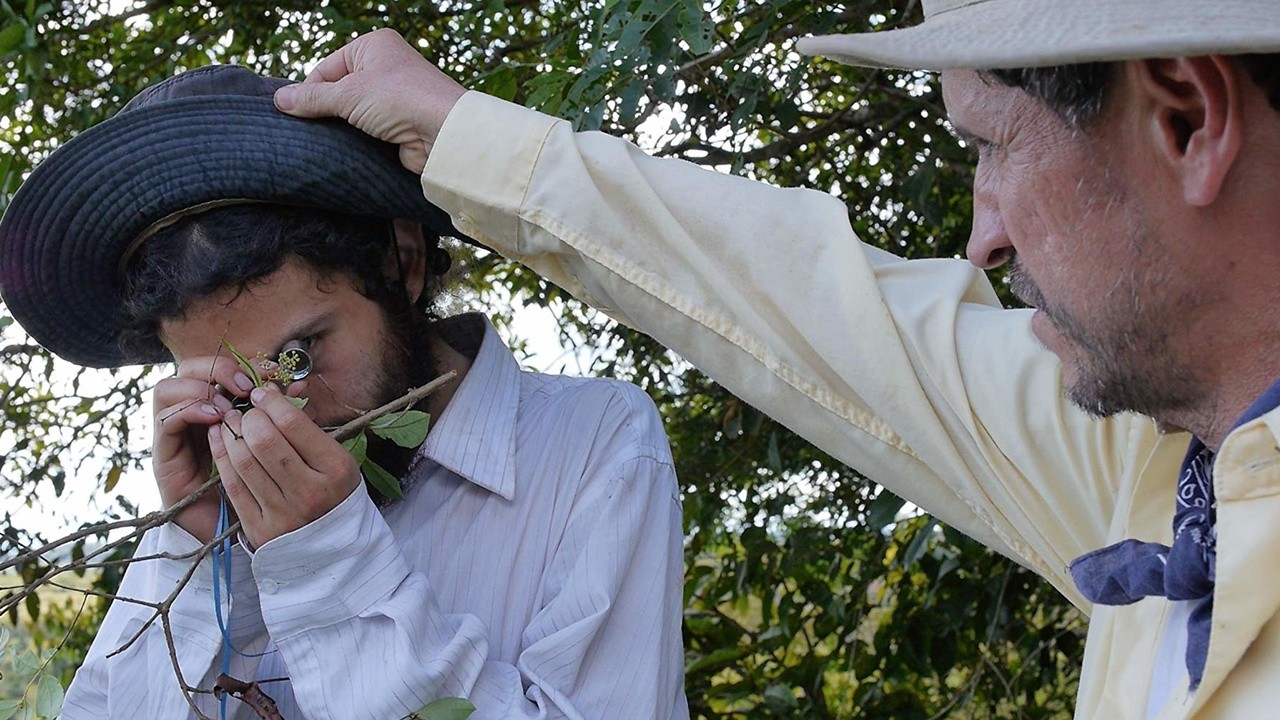 Image du film Homo Botanicus