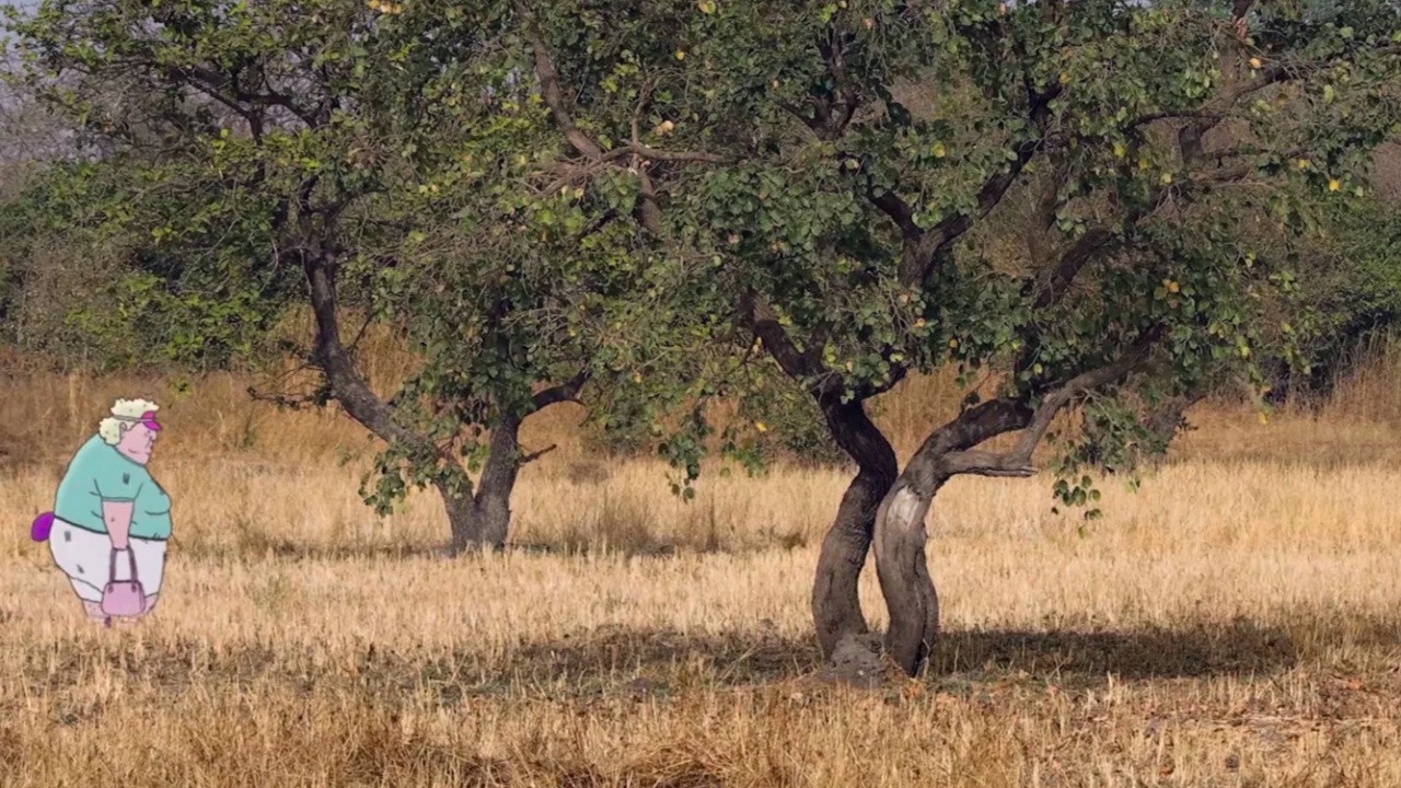 Wildebeest