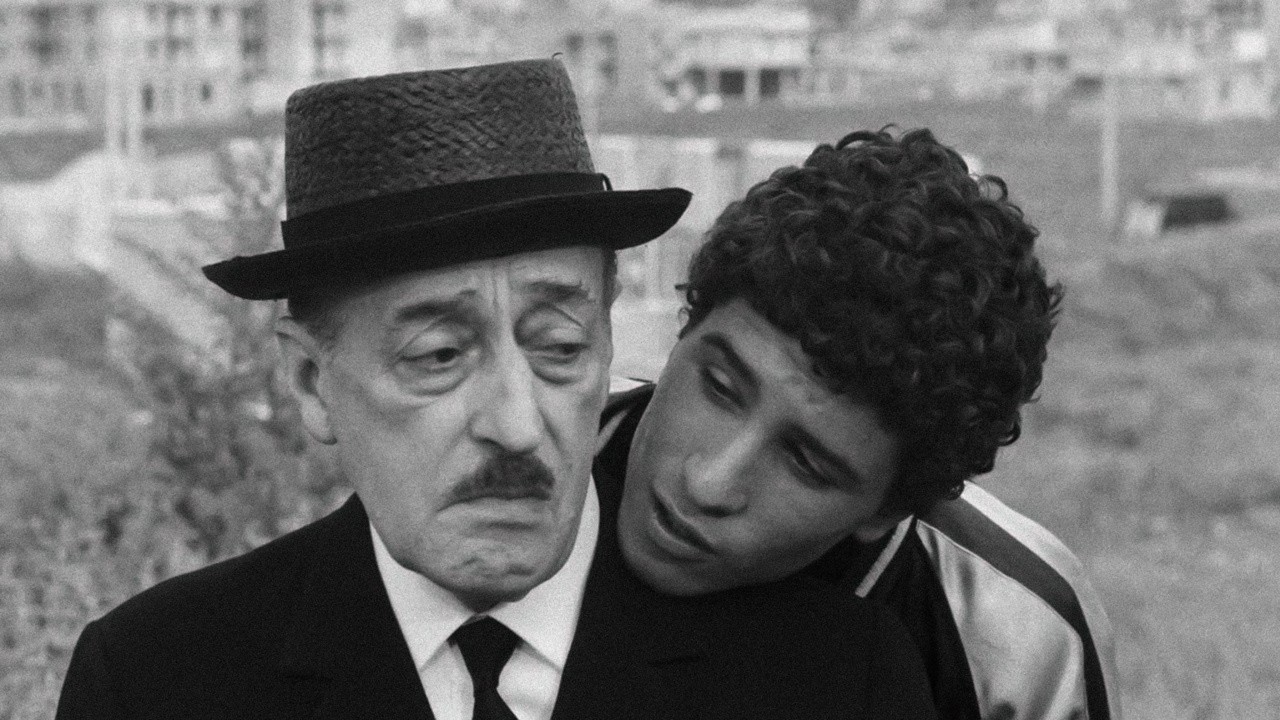 Image du film Des oiseaux petits et grands