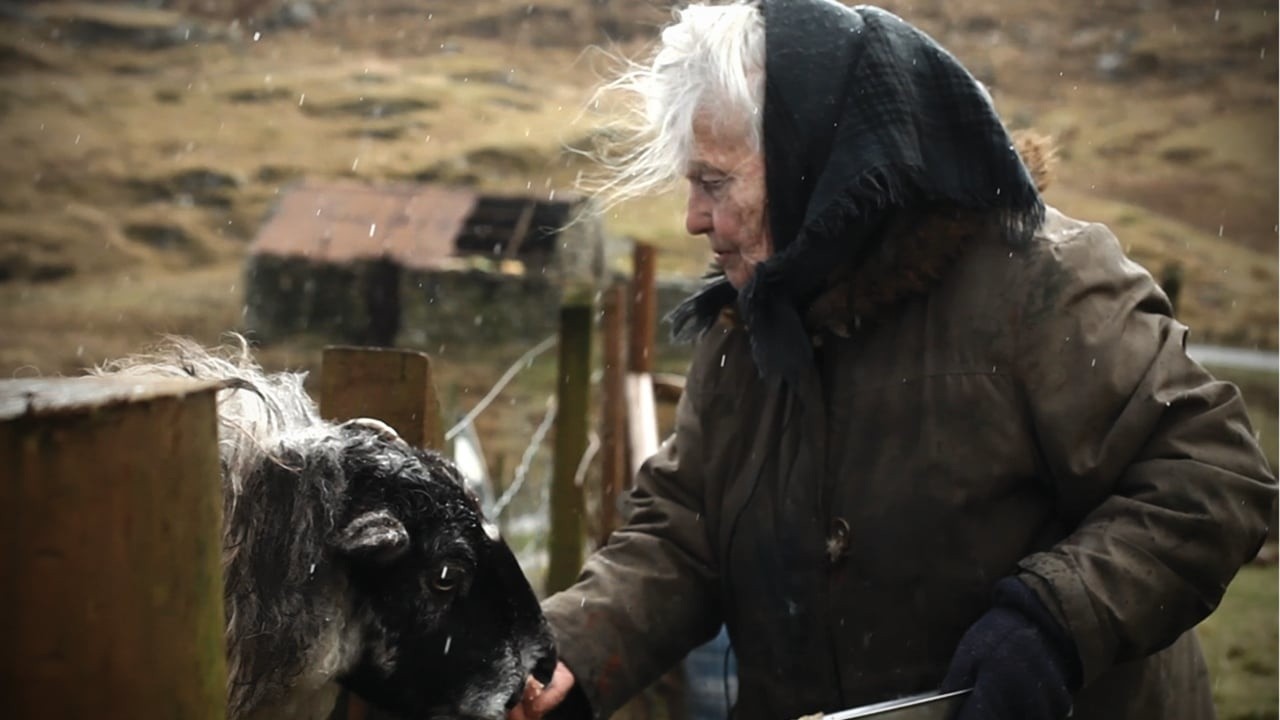 Cailleach