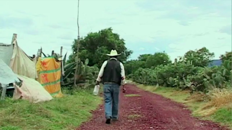 The Smell of Maguey