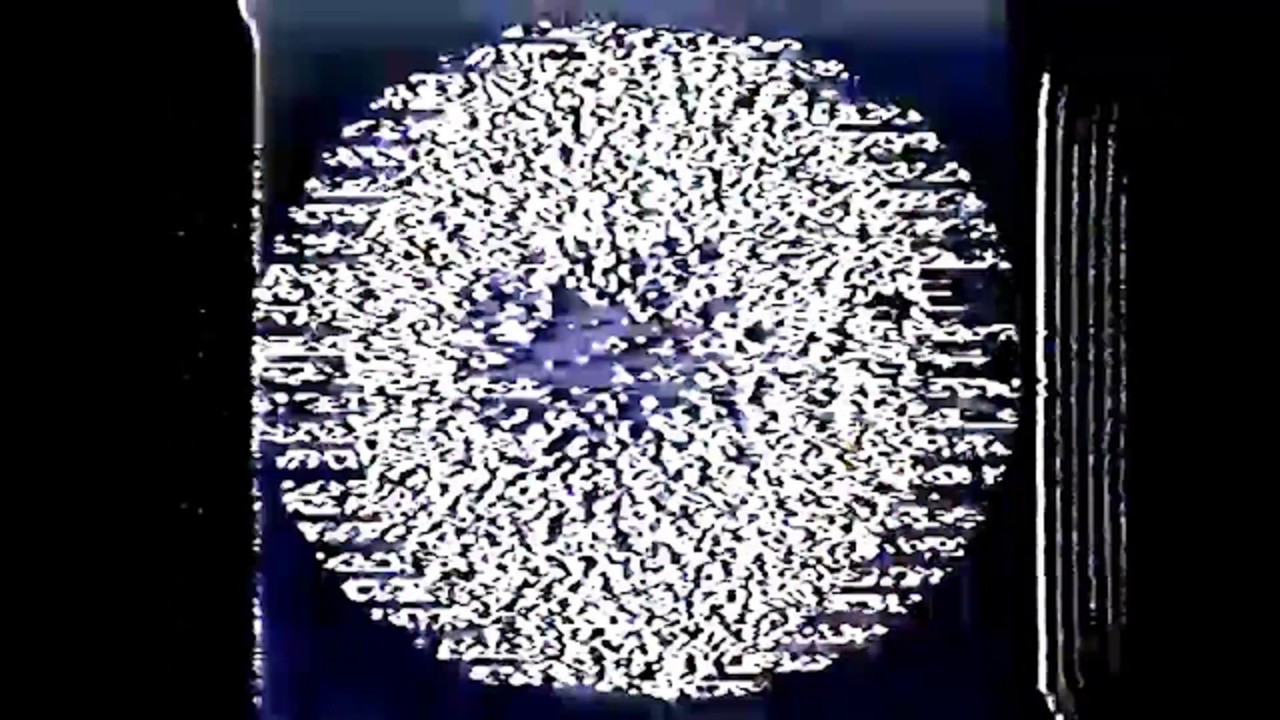 CODE-><-VIRUS Interactive Omni-Augmented Family Encyclopedia for Transhumanist Adaptability
