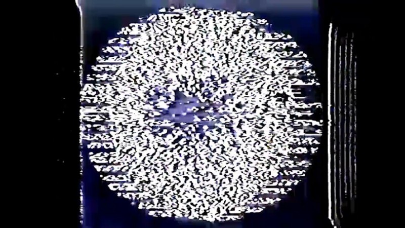 CODE-><-VIRUS Interactive Omni-Augmented Family Encyclopedia for Transhumanist Adaptability