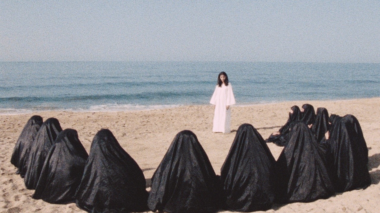 Leila and the Wolves