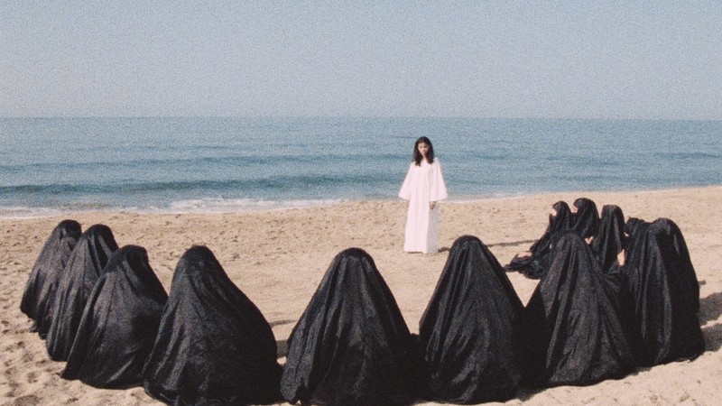 Leila and the Wolves