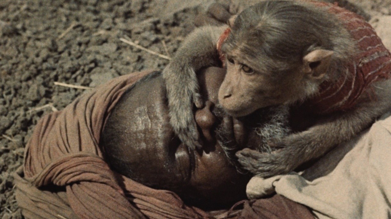 Image du film Inde, terre mère