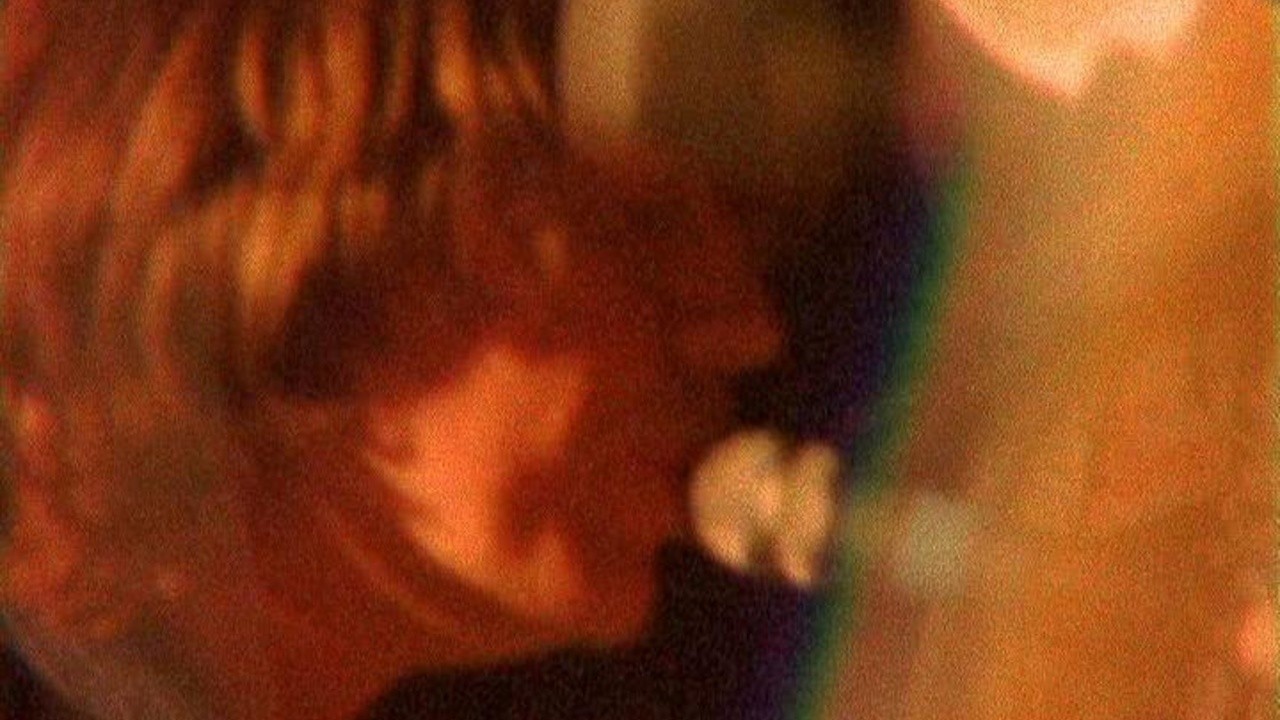 Sonic Youth: Do You Believe in Rapture? [MV]