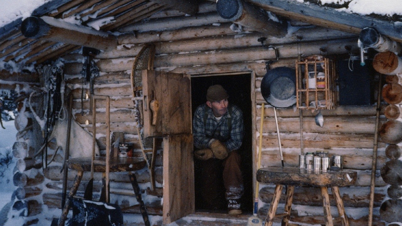 Alone in the Wilderness