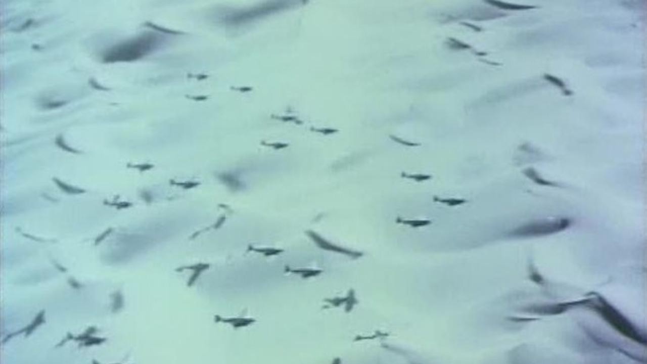 Image du film Notre siècle