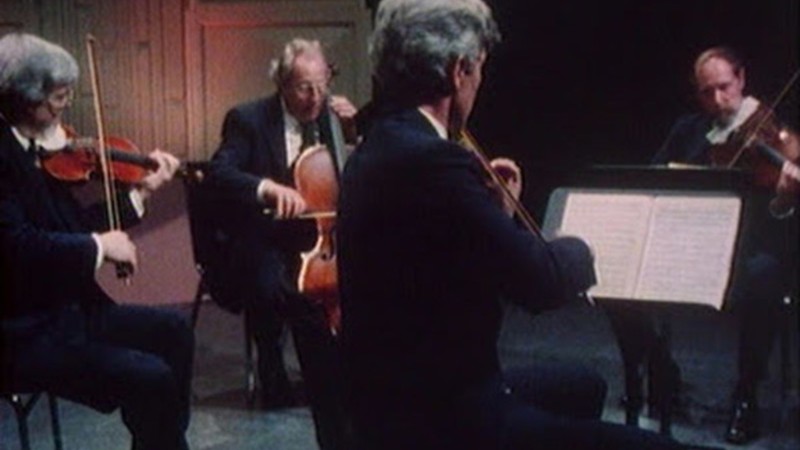 Adventures of the Guarneri String Quartet