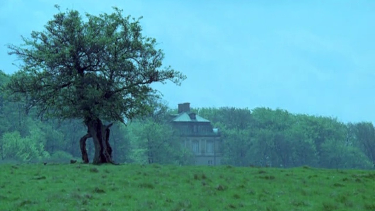 The Deer Garden: The Romantic Forest