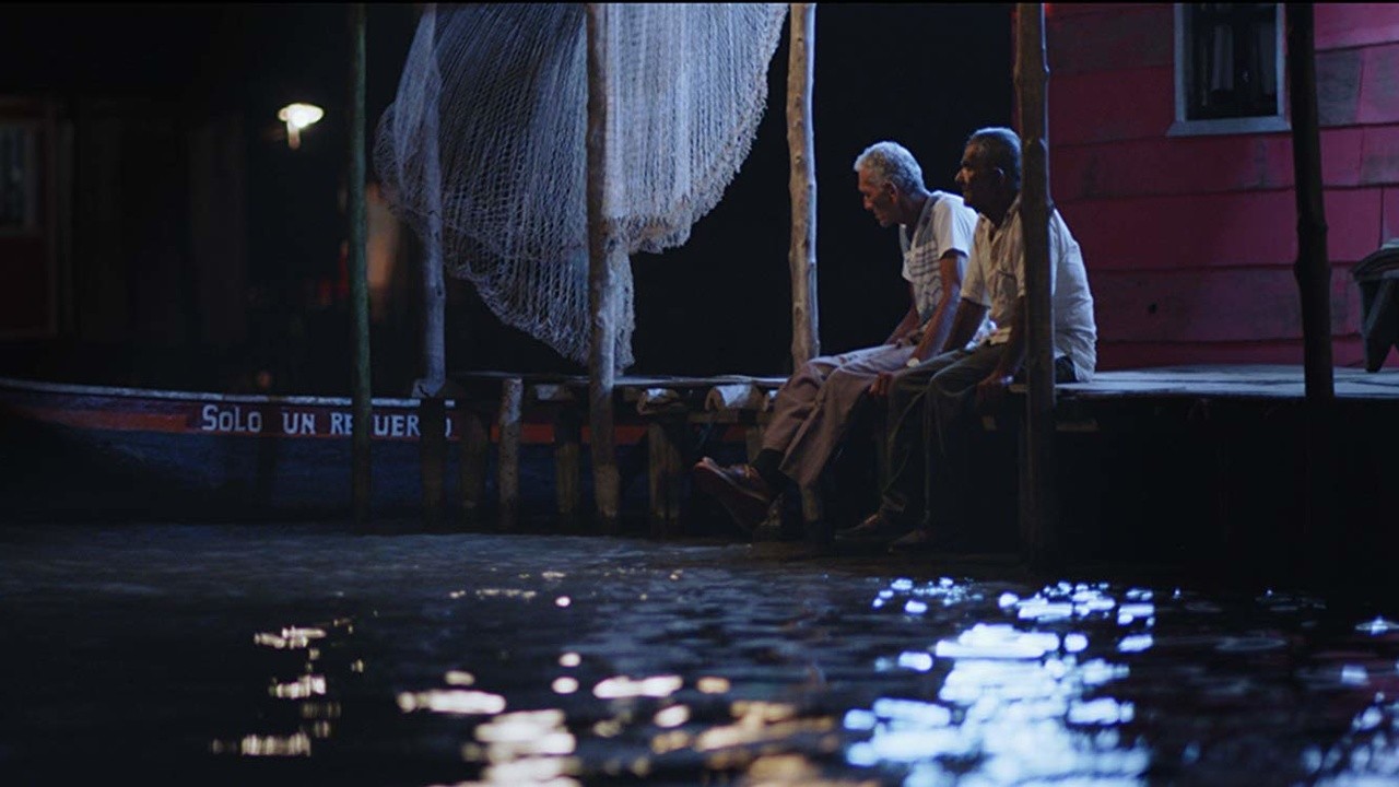 La Memoria de los Peces