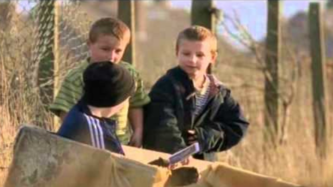 Twockers (1998) | MUBI