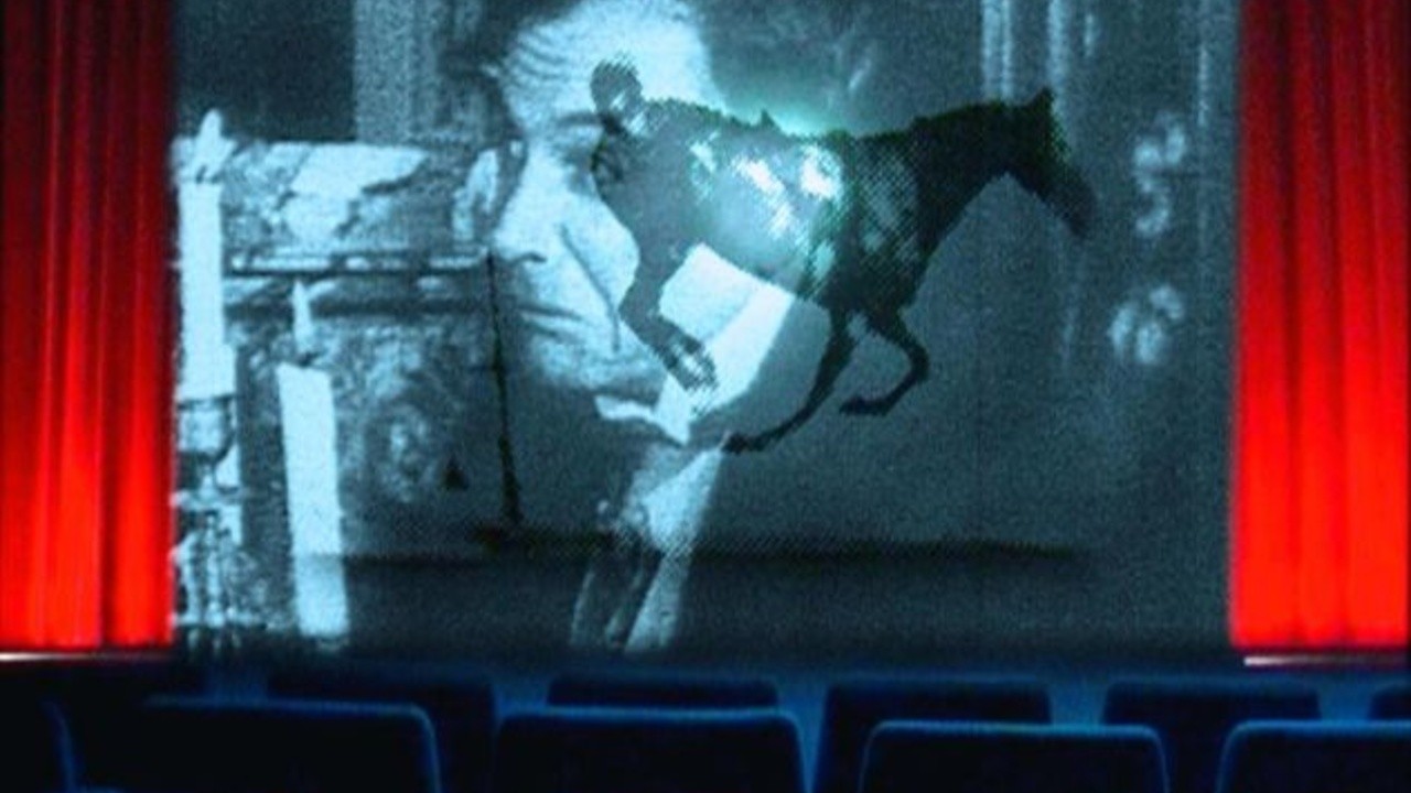Kafka Goes to the Movies