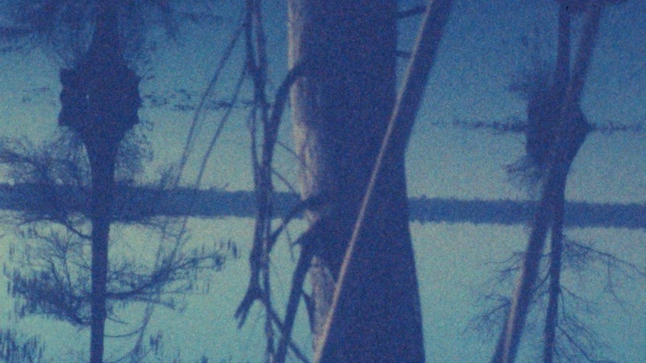 Great Dismal Swamp