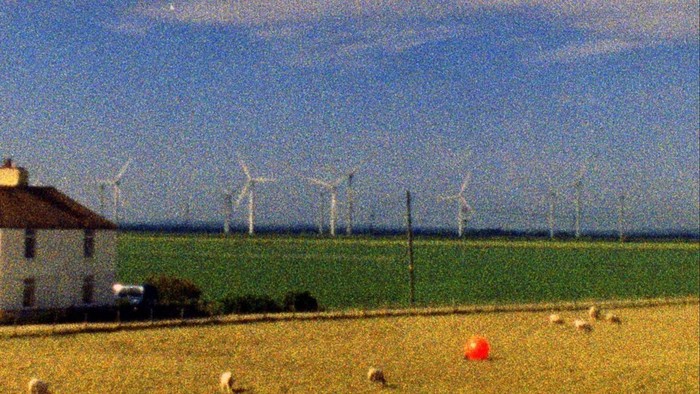 Vertical Shapes in a Horizontal Landscape