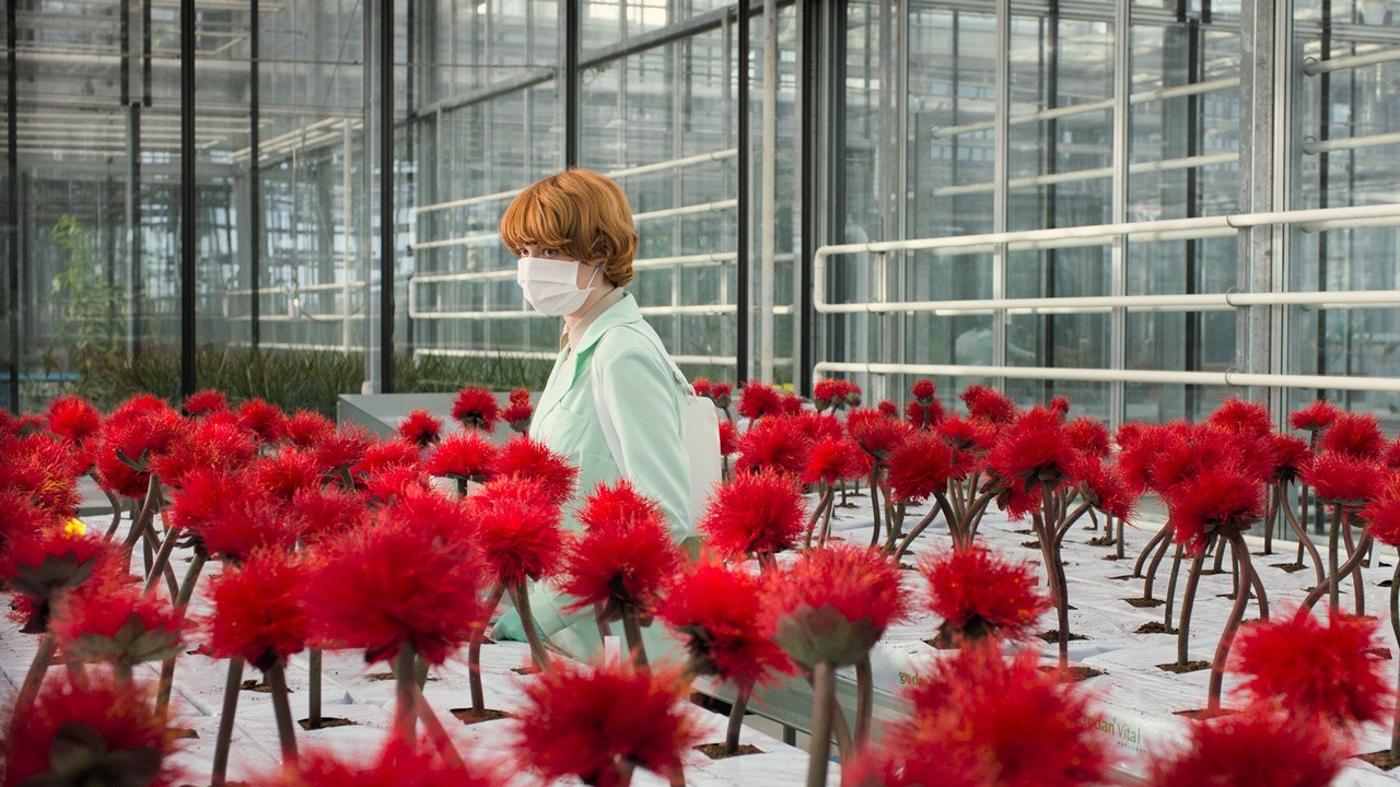 Image du film Little Joe
