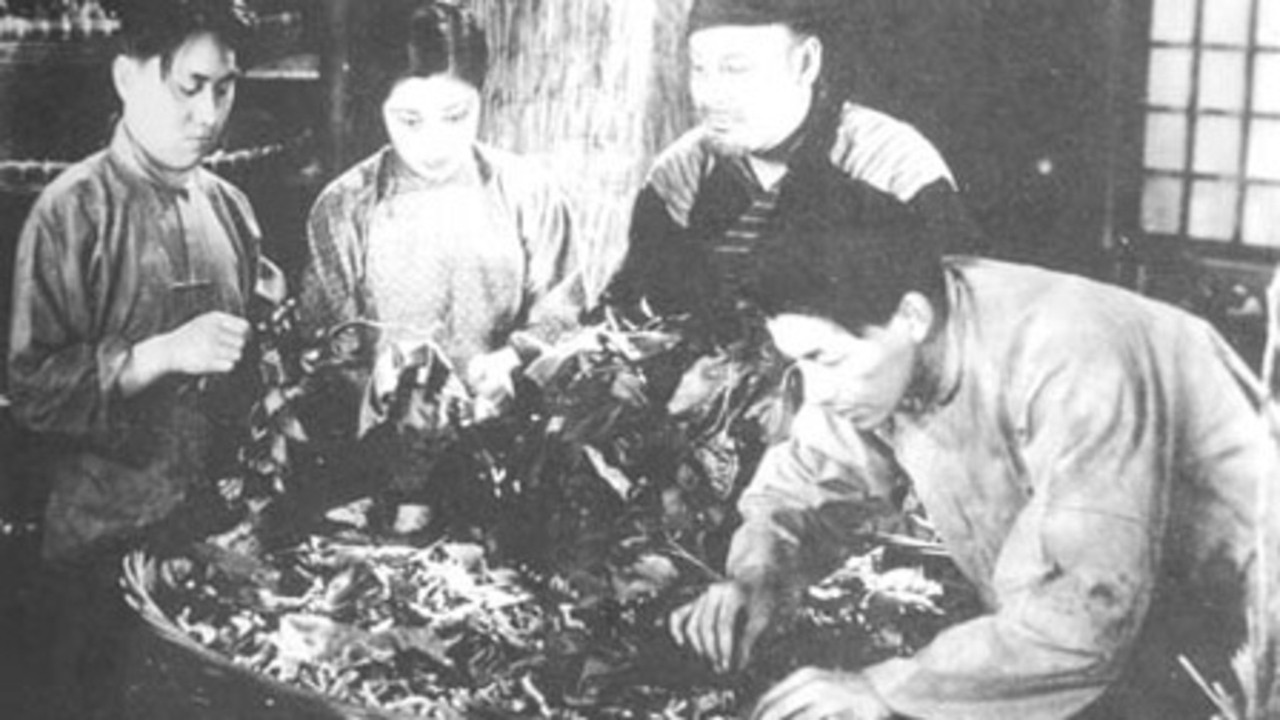 Spring Silkworms