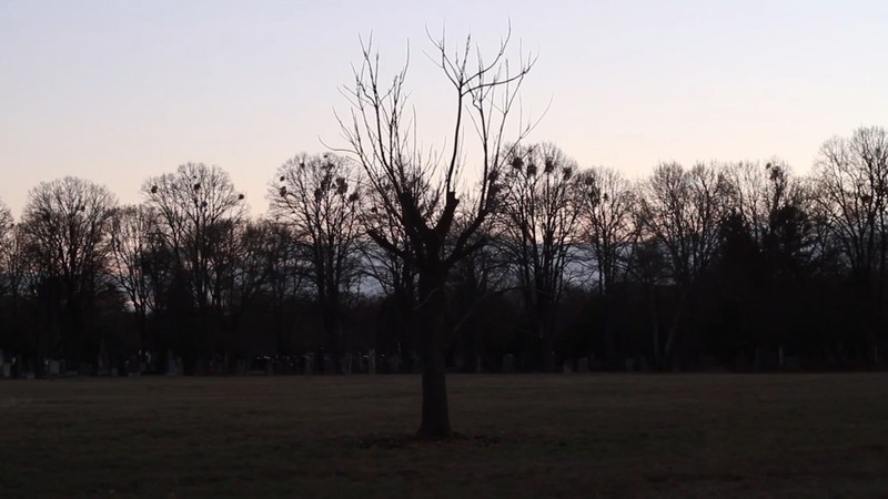 Graveyard Stories