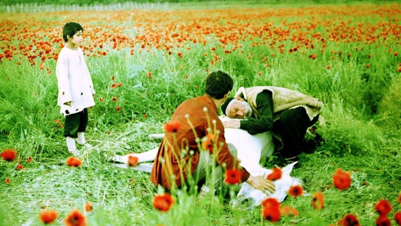 Image du film L'arbre des souhaits
