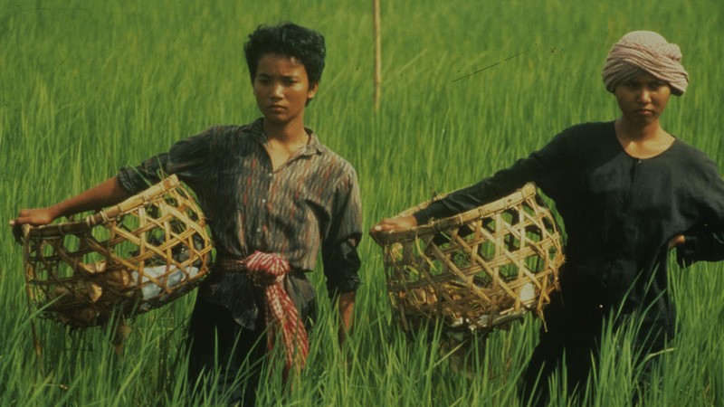 La gente del arrozal