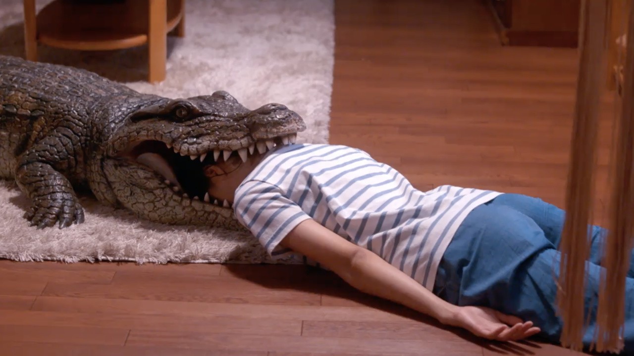When I Get Home My Wife Always Pretends to Play Dead
