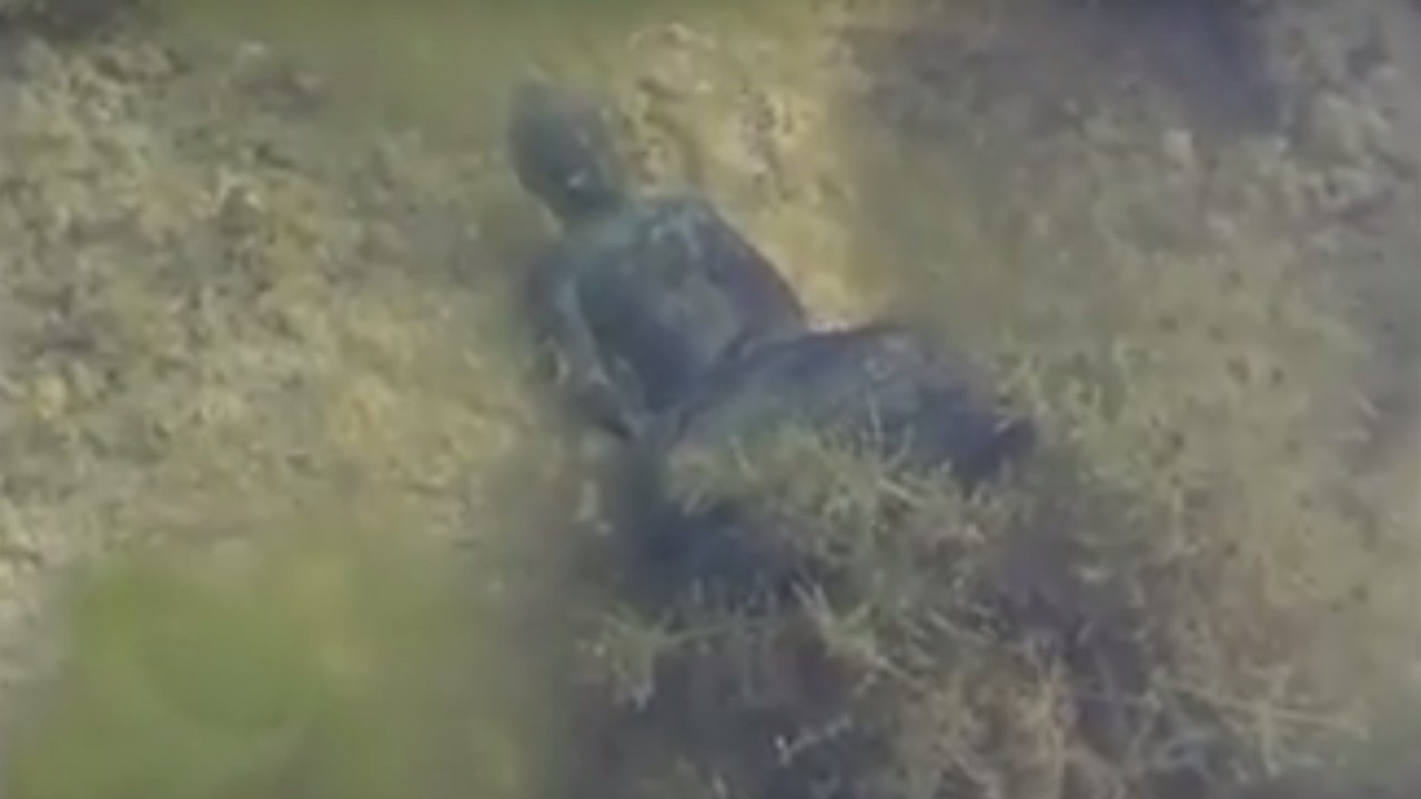 Forgotten Water Buddhism