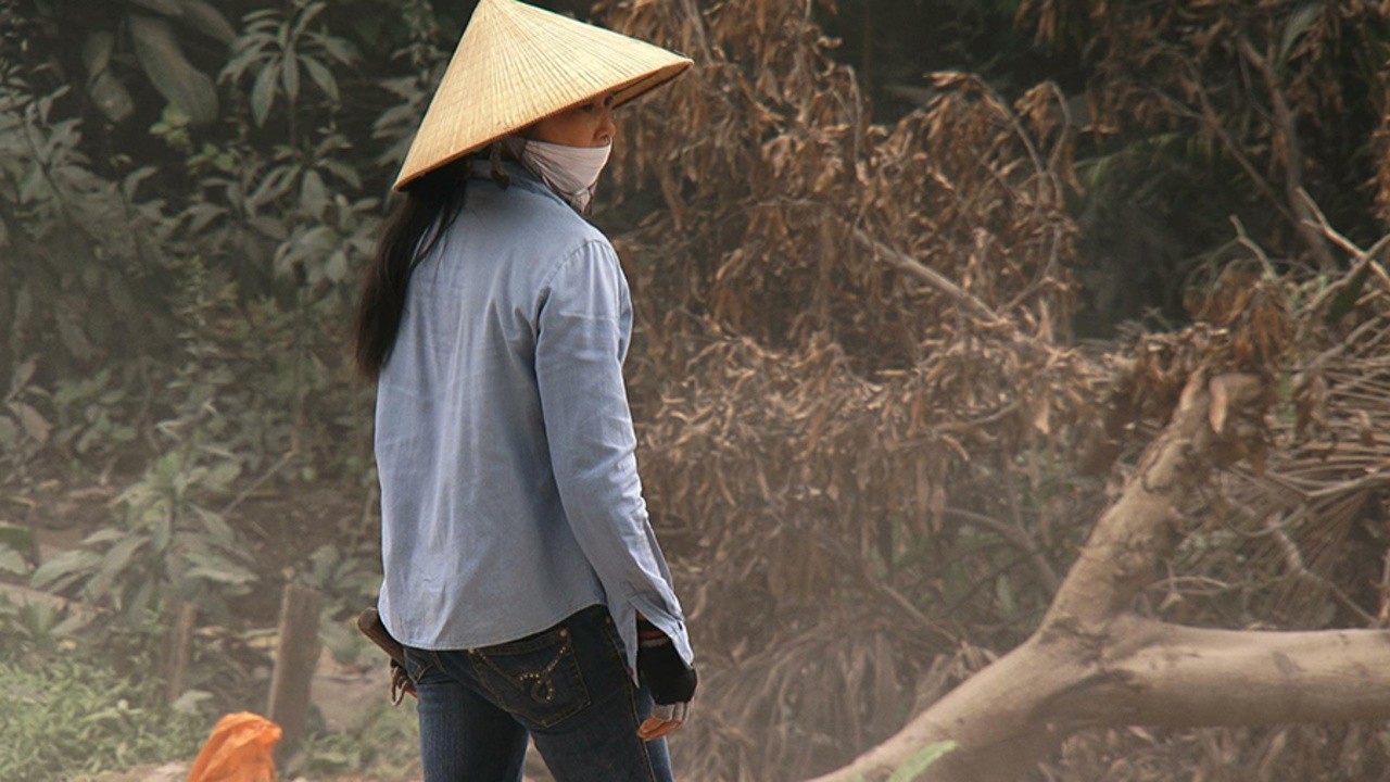 Image du film Pomelo