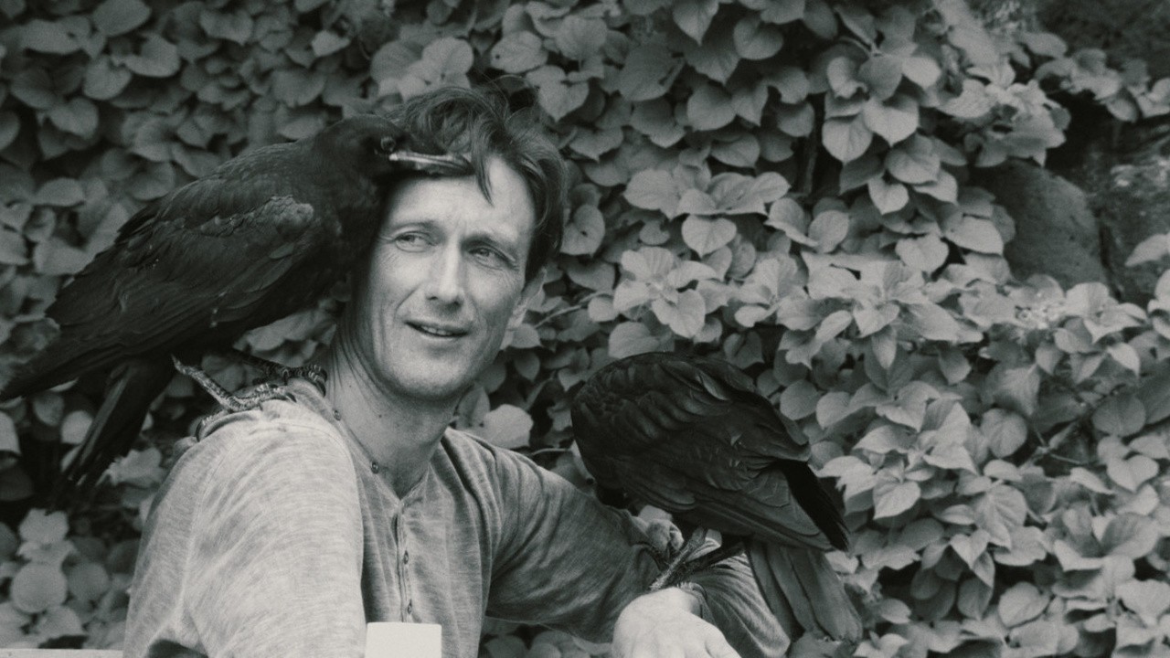 Nest. A Movie About Two People and Two Birds