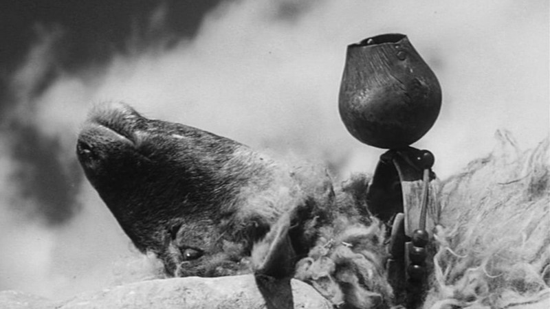 The Shepherds of Calamity | Thanos and Despina
