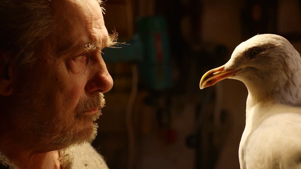 The Taxidermist