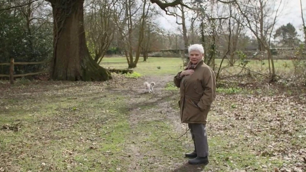 Judi Dench: My Passion for Trees