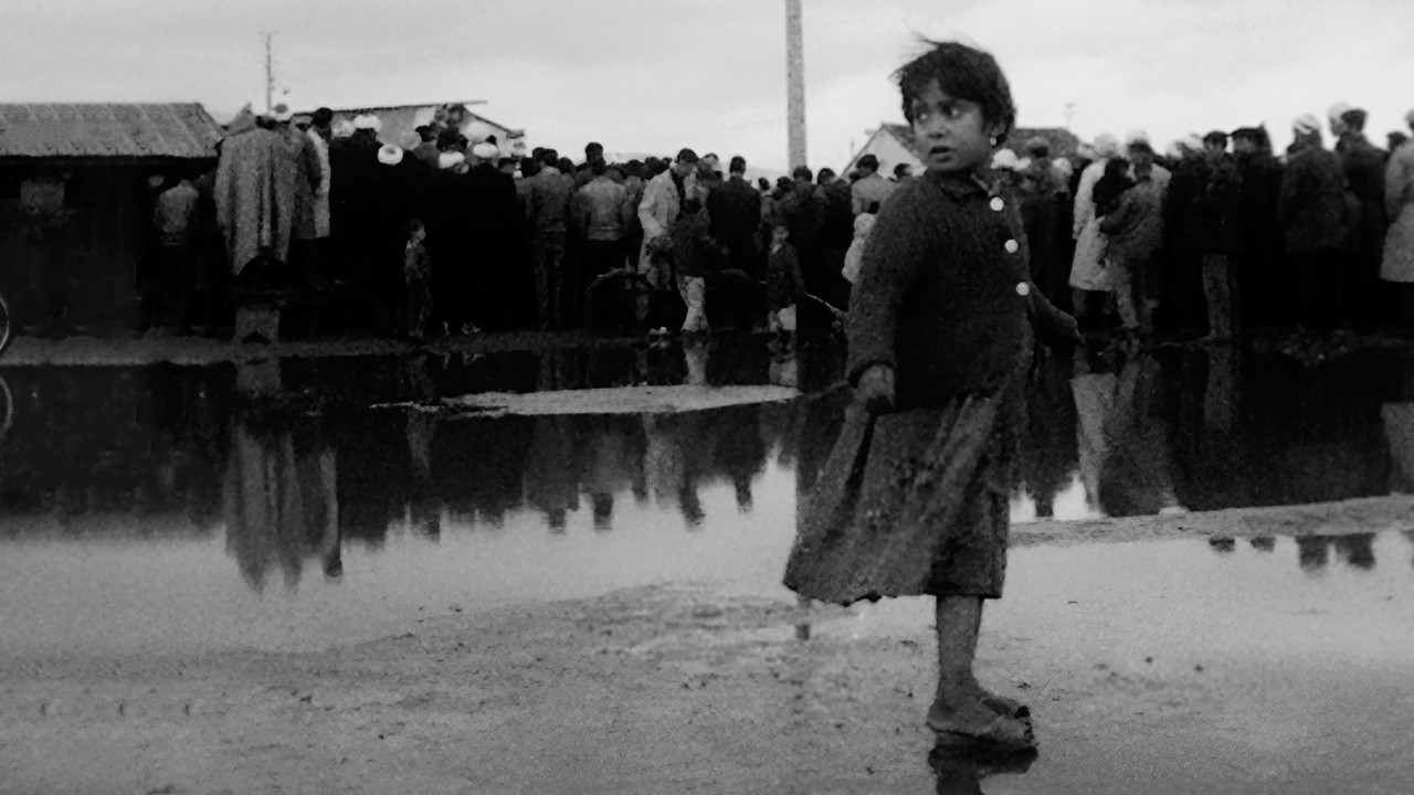 Image du film Algérie, année zéro