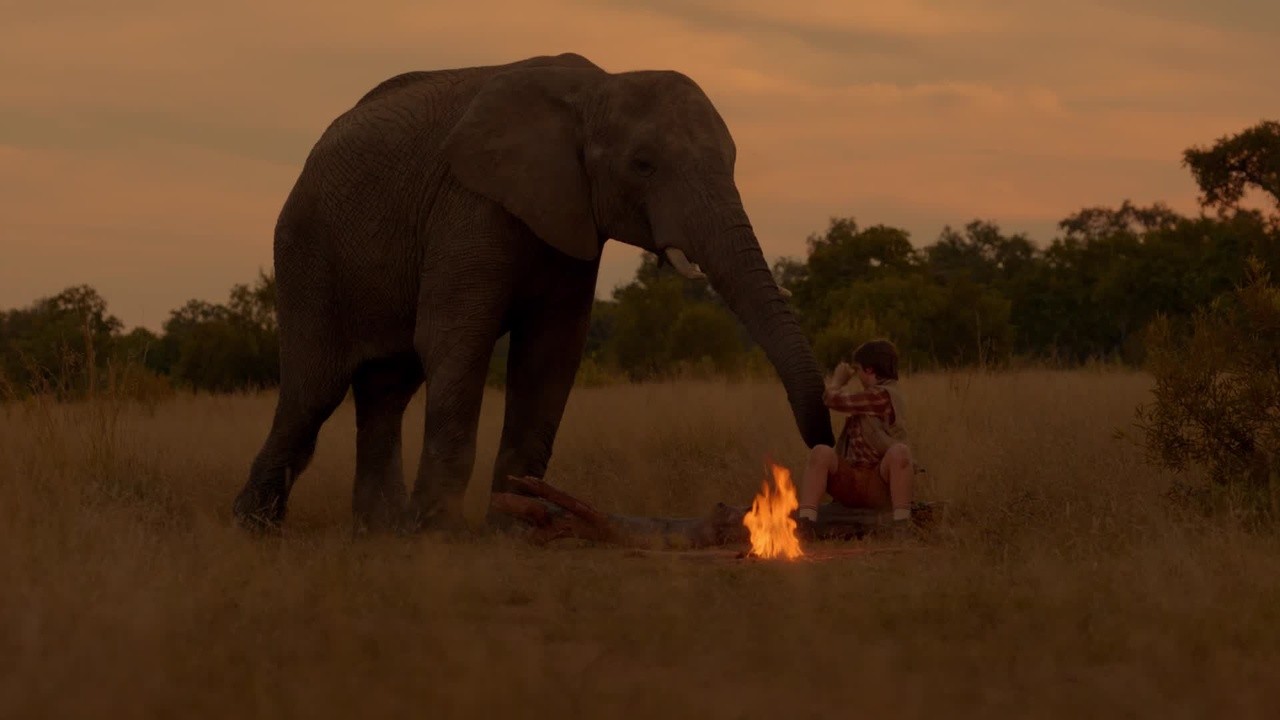 An Elephant's Journey (2017) | MUBI